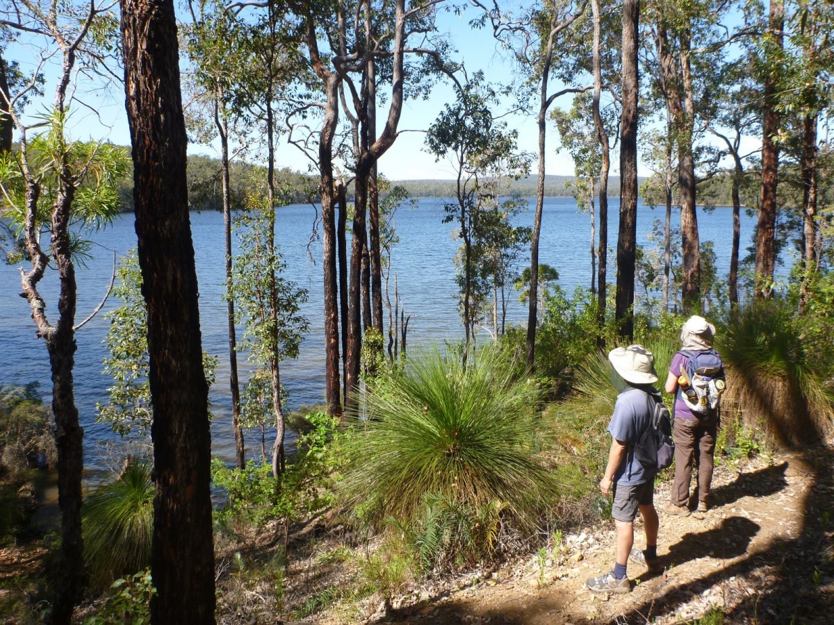 2 hikers in hats and backpacks hiking along the bush, stopping and taking a break to enjoy the view of the river beside the track. 