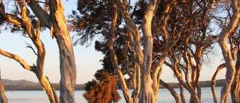 Walpole Rest Point Caravan Park Booking System