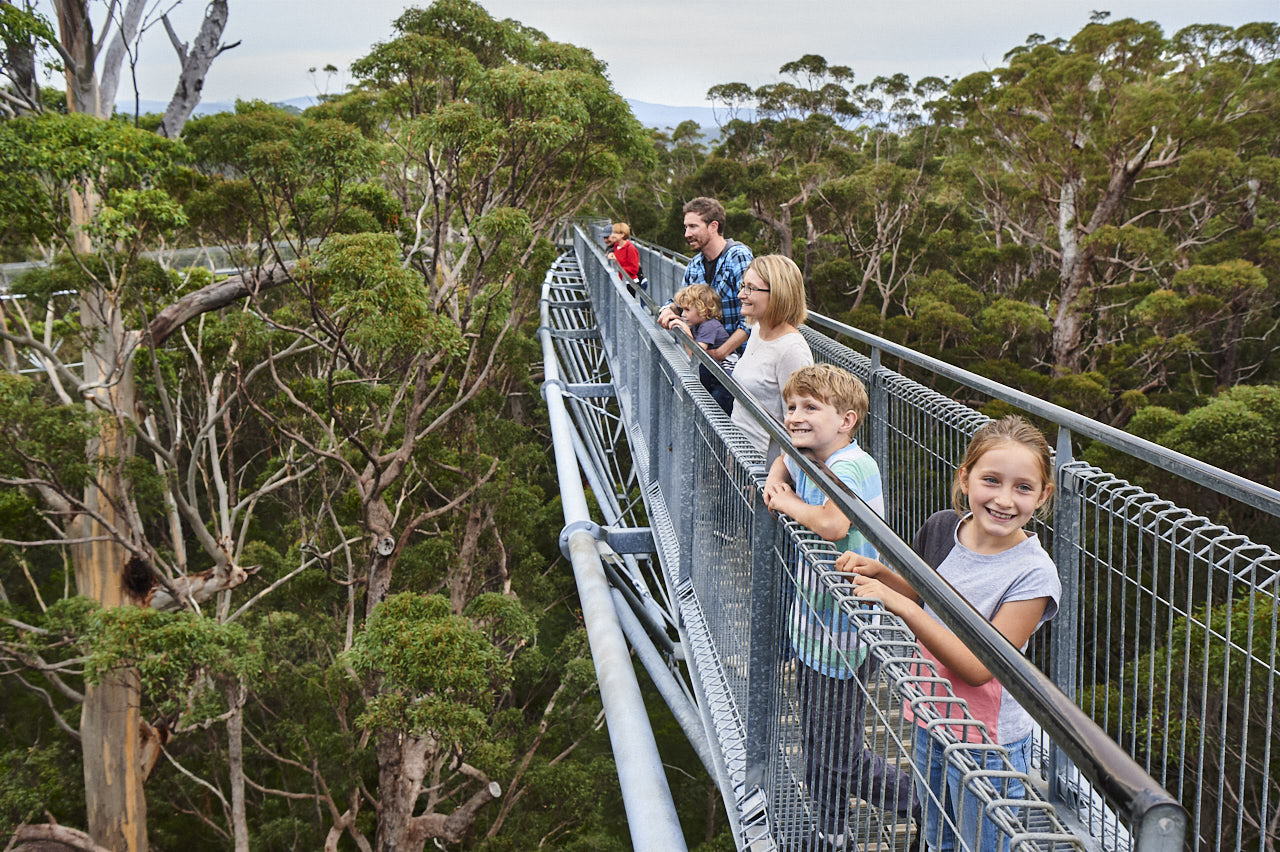 Western Australia's Giants: Unraveling the Mystery of the State's Majestic Trees